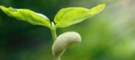 ISO17899T-2022(ISO15985)